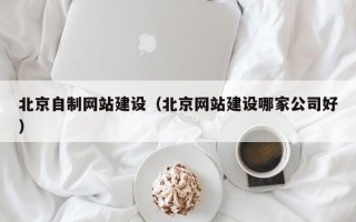 开原北京自制网站建设（北京网站建设哪家公司好）